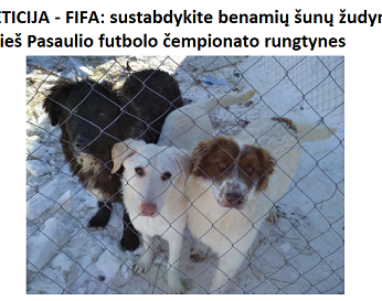 PETICIJA - FIFA: sustabdykite benamių šunų žudymą prieš Pasaulio futbolo čempionato rungtynes