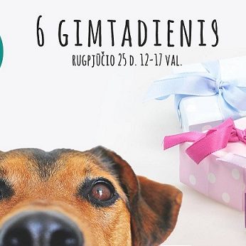 Kviečiame į 6 – ąjį VšĮ „Gyvūnų gerovės iniciatyvos“ gimtadienį!