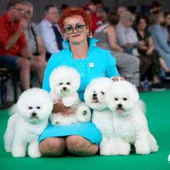Didžiausioje pasaulinėje šunų parodoje čempiono titulas lietuviams3
