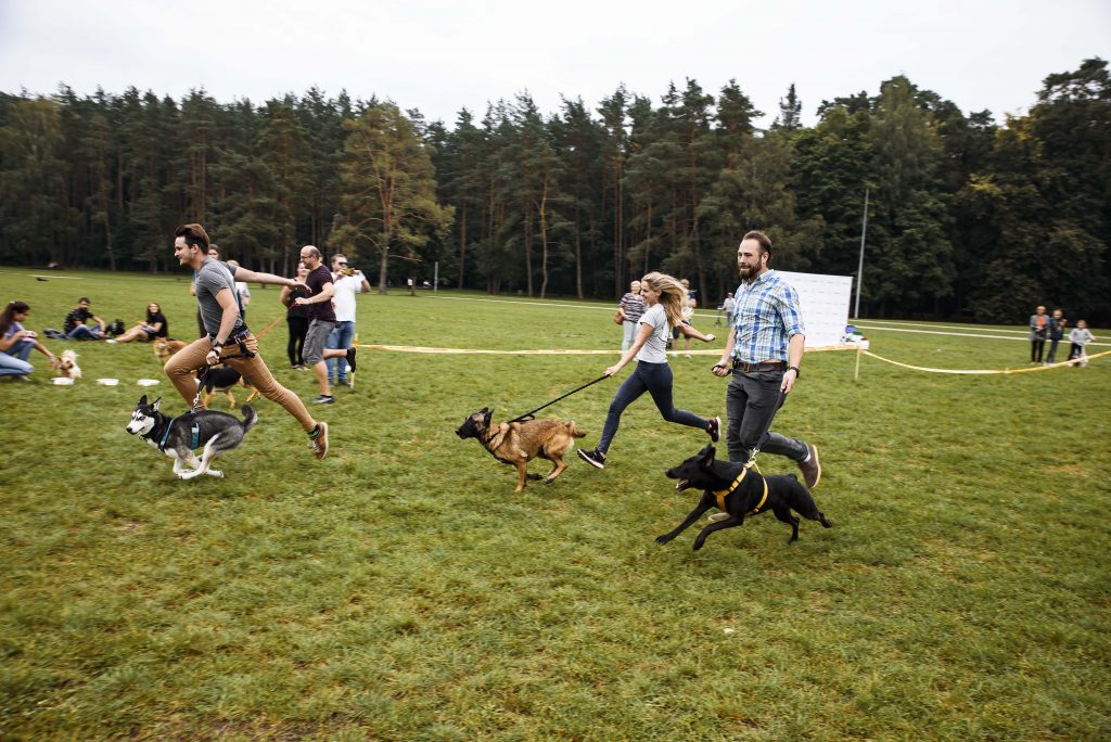 Šeštadienį Vilniaus Vingio parką užplūdo gyvūnų gerovei neabejingi žmonės
