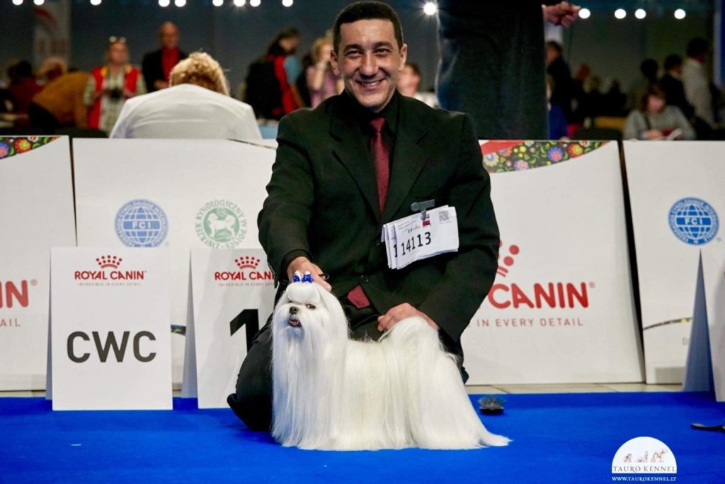 Europos šunų parodoje – 3 čempionai iš Lietuvos. Organizatorių nuotr.