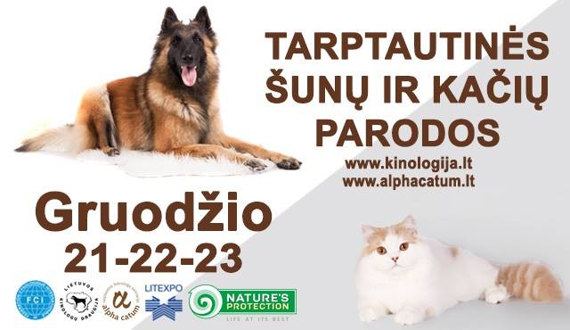 Tarptautinės šunų ir kačių parodos Vilniuje Litexpo rūmuose