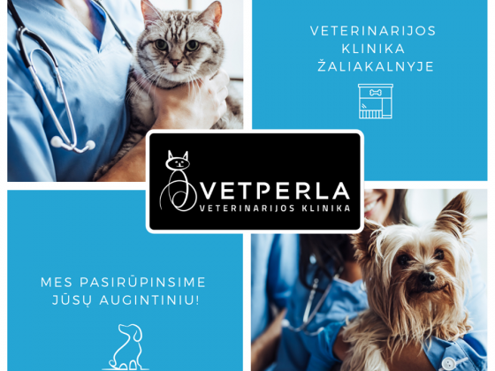 Mūsų veterinarijos klinika yra įsikūrusi pačiame Kauno centre – Žaliakalnyje.