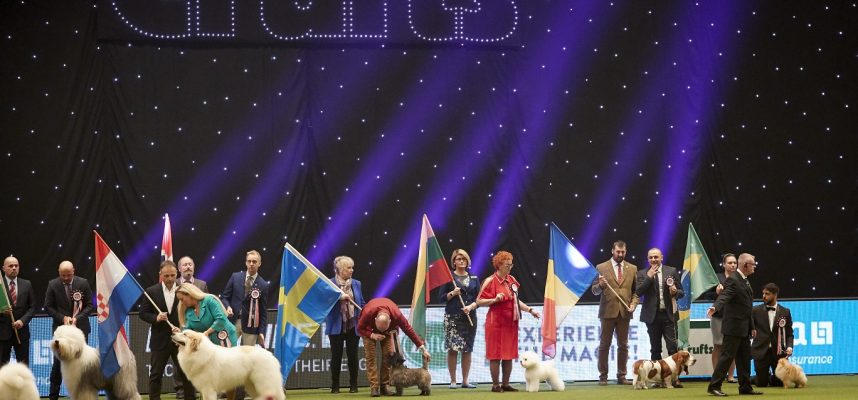 Pirmą kartą Lietuva pakviesta dalyvauti prestižiniame pasaulio šunų konkurse