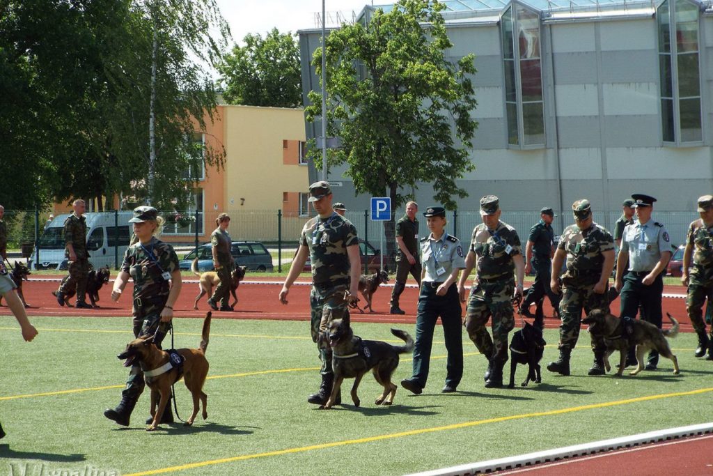 Iš viso Lietuvos valstybės sienos apsaugoje šiuo metu tarnauja 160 tarnybinių šunų. L.Raginytės, mignalina.lt nuotr.