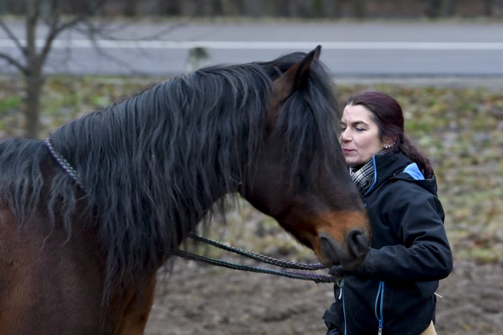 30 metų jodinėjanti N.Kūlokaitė prisipažino, kad vengia kitiems raiteliams patikėti mylimus žirgus, net jų pavyduliauja. V.Ščiavinsko nuotr.