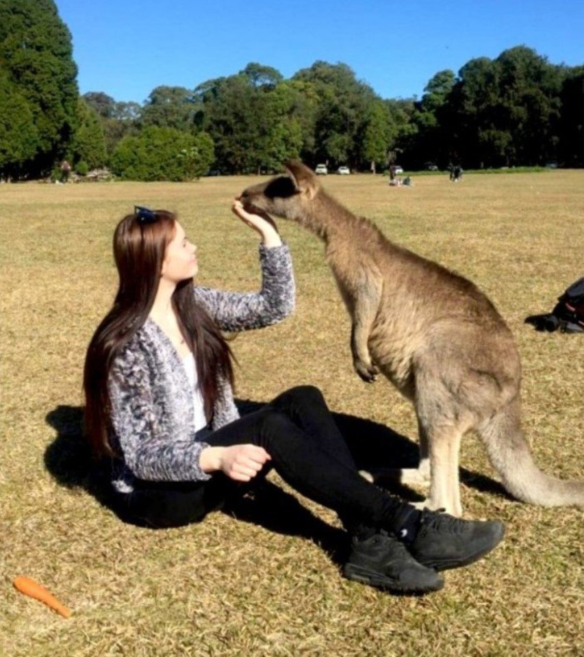 M.Bagdonaitė atneša skanėstų kengūroms, gyvenančioms Sidnėjaus parke. Asmeninio archyvo nuotr.