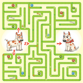 Padėkite šuniukui rasti kelią: kaip daiktus ar kelią randa šie keturkojai