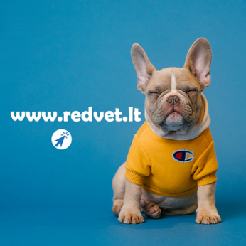 RedVet - nemokama veterinarinė konsultacija internetu!