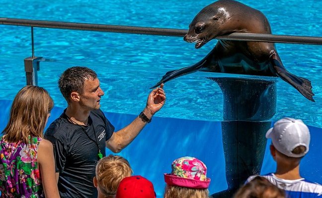 Lietuvos jūrų muziejuje atnaujinami delfinų ir jūrų liūtų pasirodymai
