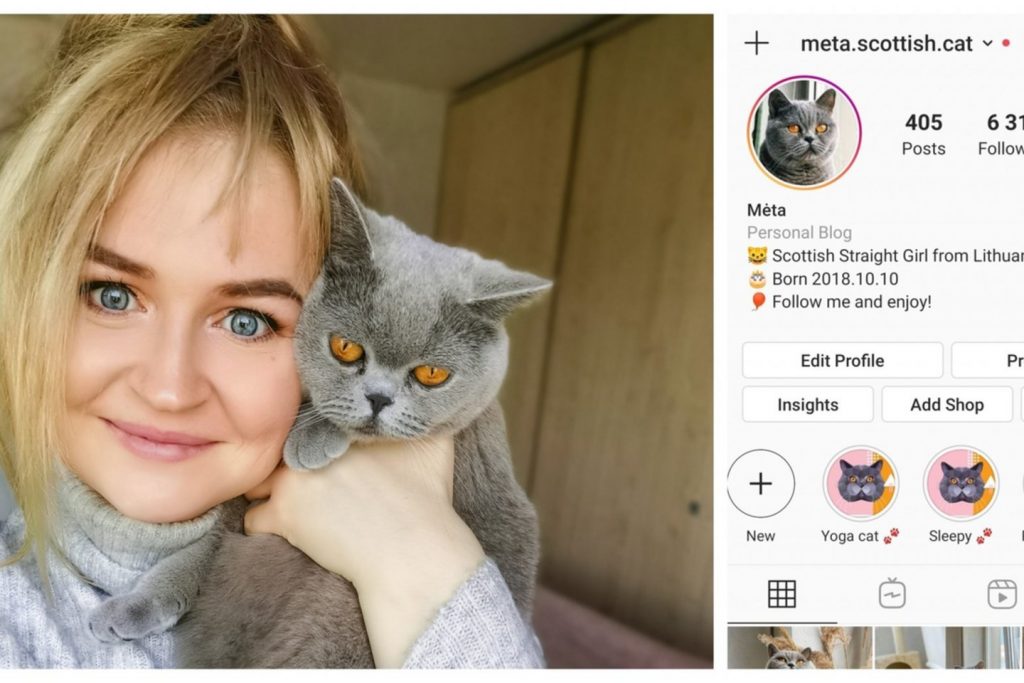 Gimtadienio proga škotų stačiaausių veislės katę dovanų nuo draugo gavusi alytiškė Paulina Pultarackaitė džiaugėsi išsipildžiusia svajone ir nė nepagalvojo, kad jau netrukus po vienu stogu gyvens su pačia tikriausia socialinio tinklo „Instagram“ žvaigžde. Asmeninio archyvo/Dzukijosveidas.lt nuotr.