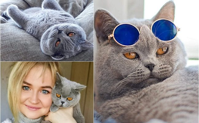 „Instagram“ žvaigžde tapusi alytiškės katė skanėstams užsidirba pati