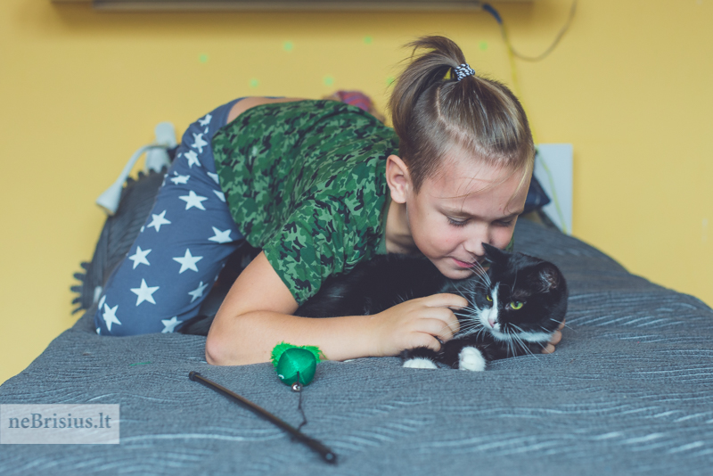 Žaislai katėms – ne tik pramoga, bet ir pagalba rūpinantis katės fizine bei emocine būkle