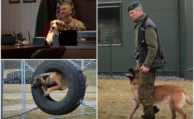 Lietuvos kariuomenės vadas papasakojo apie keturkojus karius: atskleidė, kokią šunybę jam iškrėtė augintinis