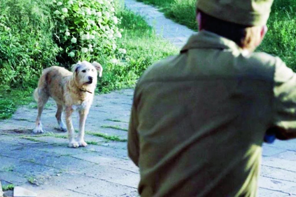 Vienas šiurpiausių juostos epizodų – žudomi užkrėstame mieste bėgiojantys šunys. Kadras iš mini serialo „Černobylis“.
