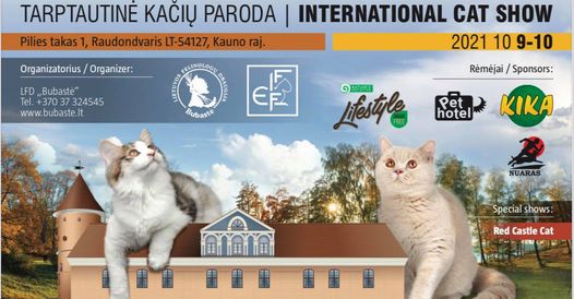 Tarptautinė kačių paroda Raudondvario pilyje