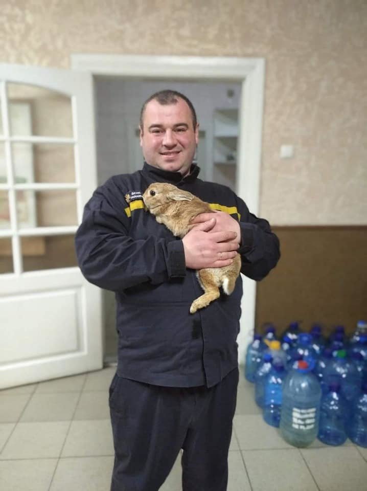 Susipažinkite, tai – Lucky, triušis Charkovo. Ukrainos ugniagesių nuotr.