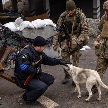 Augintinių evakuacija iš Ukrainos stringa VMVT: beveik visiems gresia badas arba žūtis