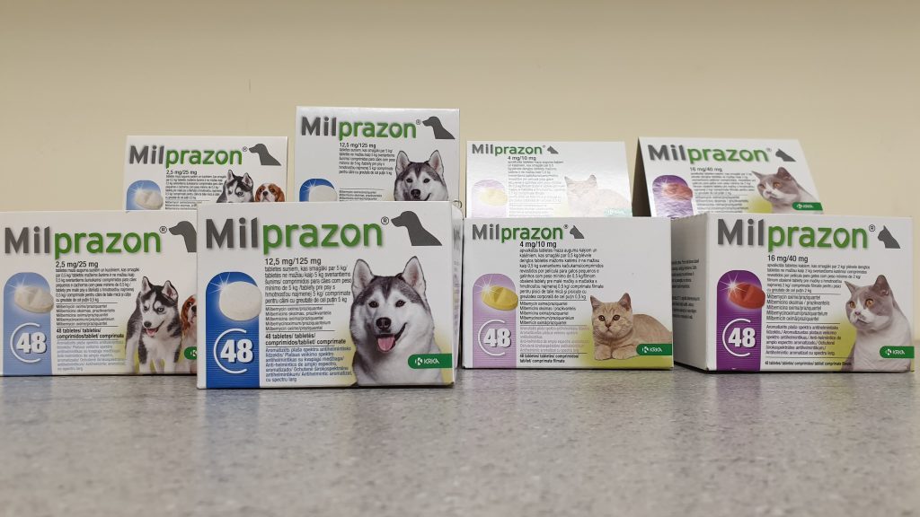 MILPRAZON – plėvele dengtos tabletės šunims ir šuniukams nuo kirmėlių.
