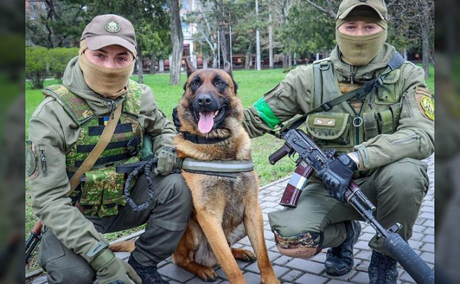 Rusų okupantų Ukrainoje paliktas tarnybinis šuo padės ukrainiečių kariams