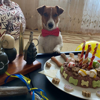 Ukrainiečių Patronas švenčia gimtadienį, bet vietoje dovanų prašo padėti beglobiams gyvūnams