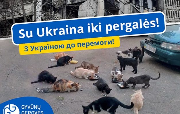 „Gyvūnų gerovės iniciatyvos“ jau padėjo tūkstančiams Ukrainos gyvūnų – parama vis dar labai reikalinga
