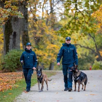 Klaipėdos policijoje šauniai tarnauja 5 keturkojai pareigūnai, kurie netrukus sulauks pastiprinimo