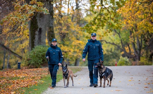 Klaipėdos policijoje šauniai tarnauja 5 keturkojai pareigūnai, kurie netrukus sulauks pastiprinimo