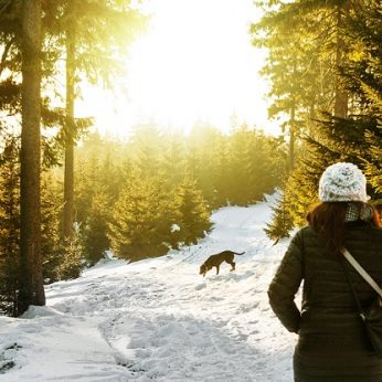 10 specialistų patarimų, kaip tinkamai prižiūrėti gyvūnus žiemos metu